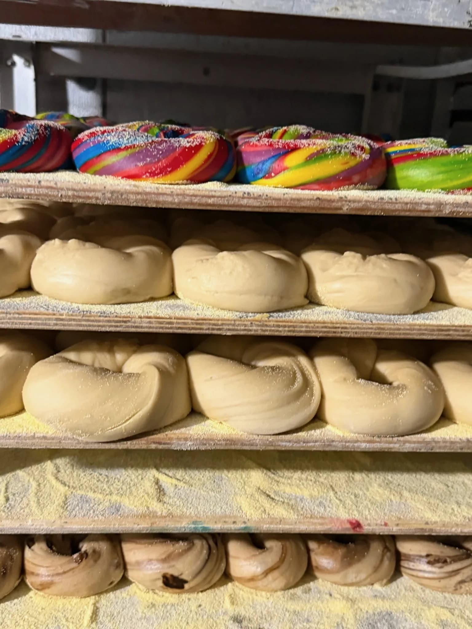 Trays of hand-rolled bagels resting on the rack — including our rainbow bagels on top