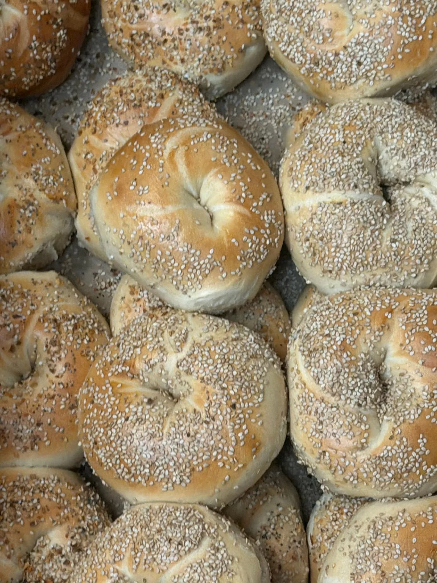 Sesame bagels piled high — toasted seeds on a golden, chewy crust